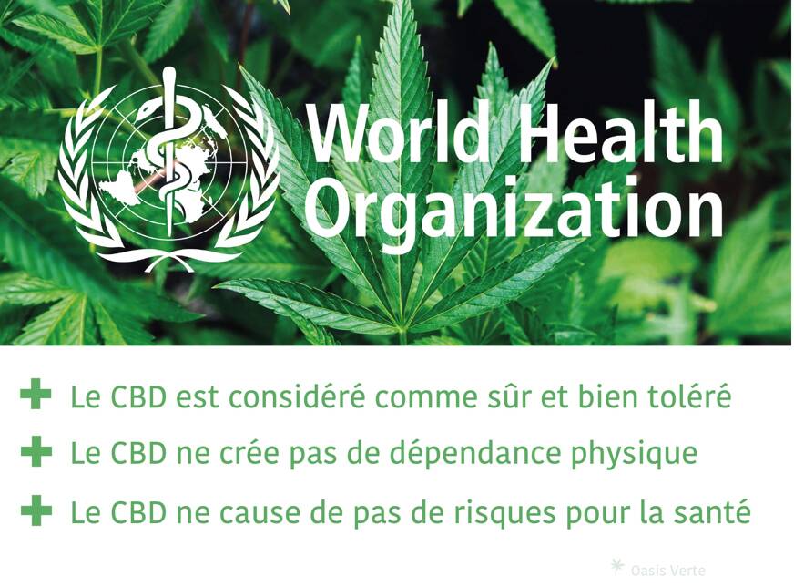 rapport oms et cbd